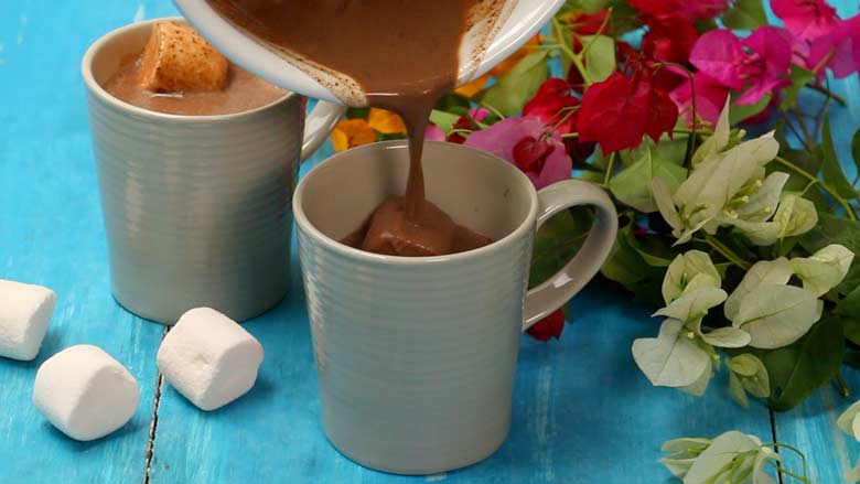Hot Chocolate Recipe with Marshmallow