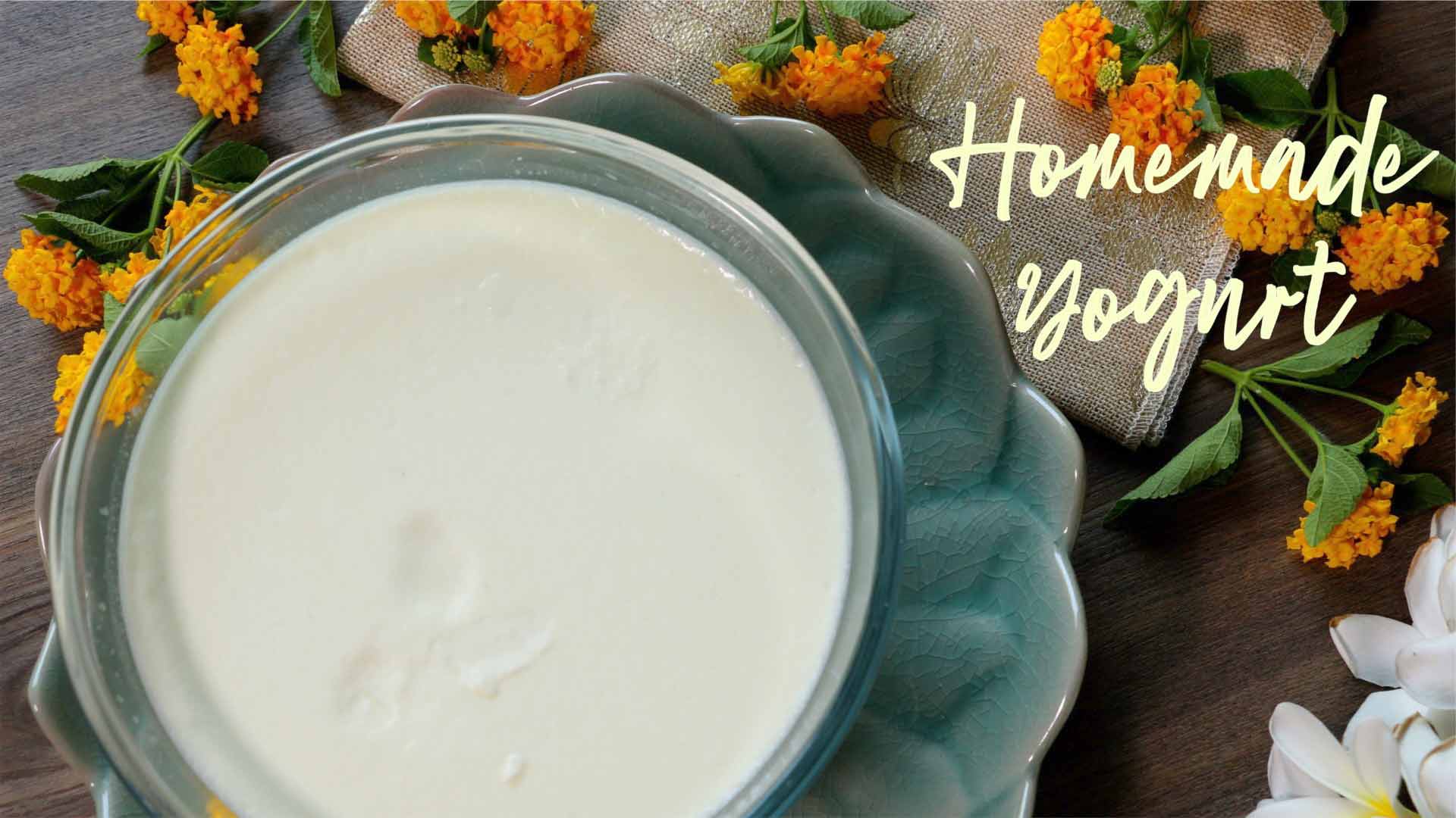 Homemade Yogurt Recipe | How to make healthy yogurt at Home