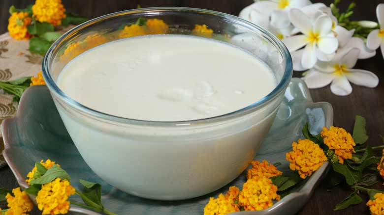 A closeup image of a bowl of set yogurt made at home on a teal ceramic scalloped plate surrounded by orange flowers with white frangipani flowers in the background - Homemade Yogurt Recipe