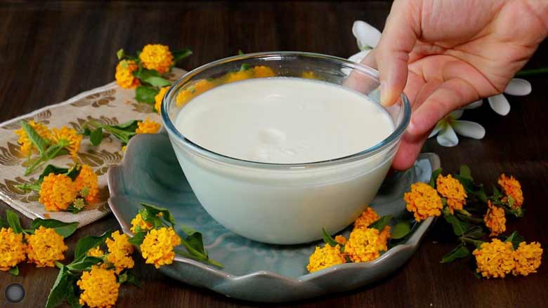 A hand placing a bowl of set yogurt made at home on a teal ceramic scalloped plate surrounded by orange flowers with a piece of brocade textile and white frangipani flowers in the background - Homemade Yogurt Recipe